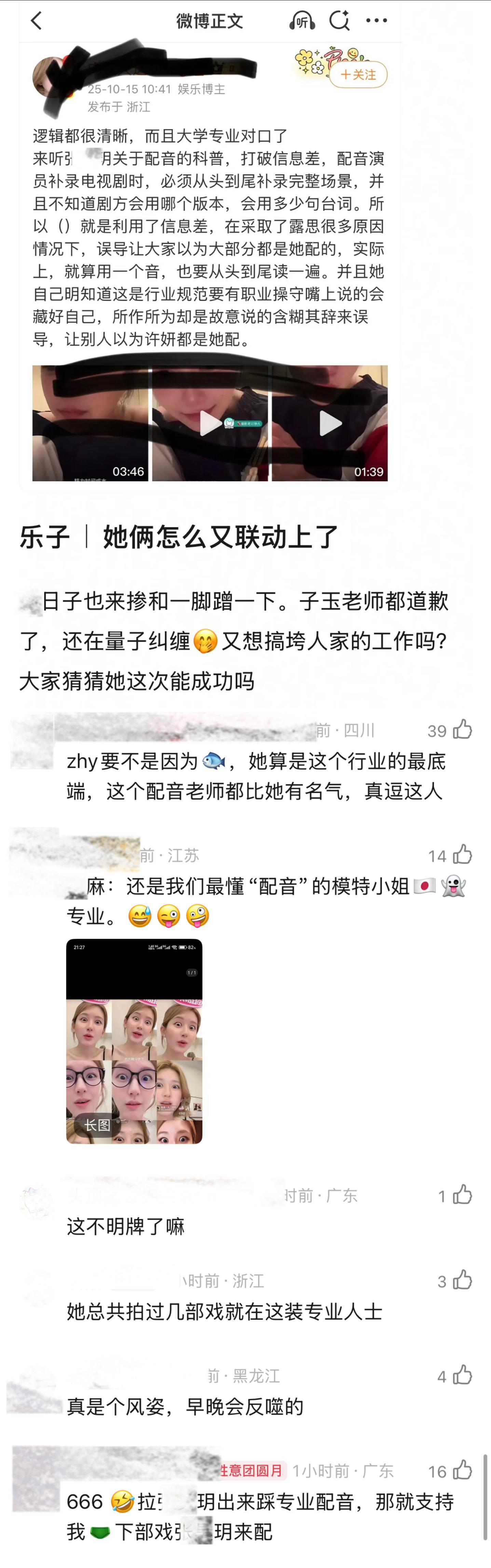 一条狗的使命 ​​​