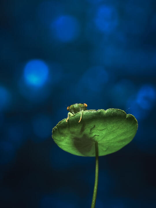 觉醒第一步，看透人性