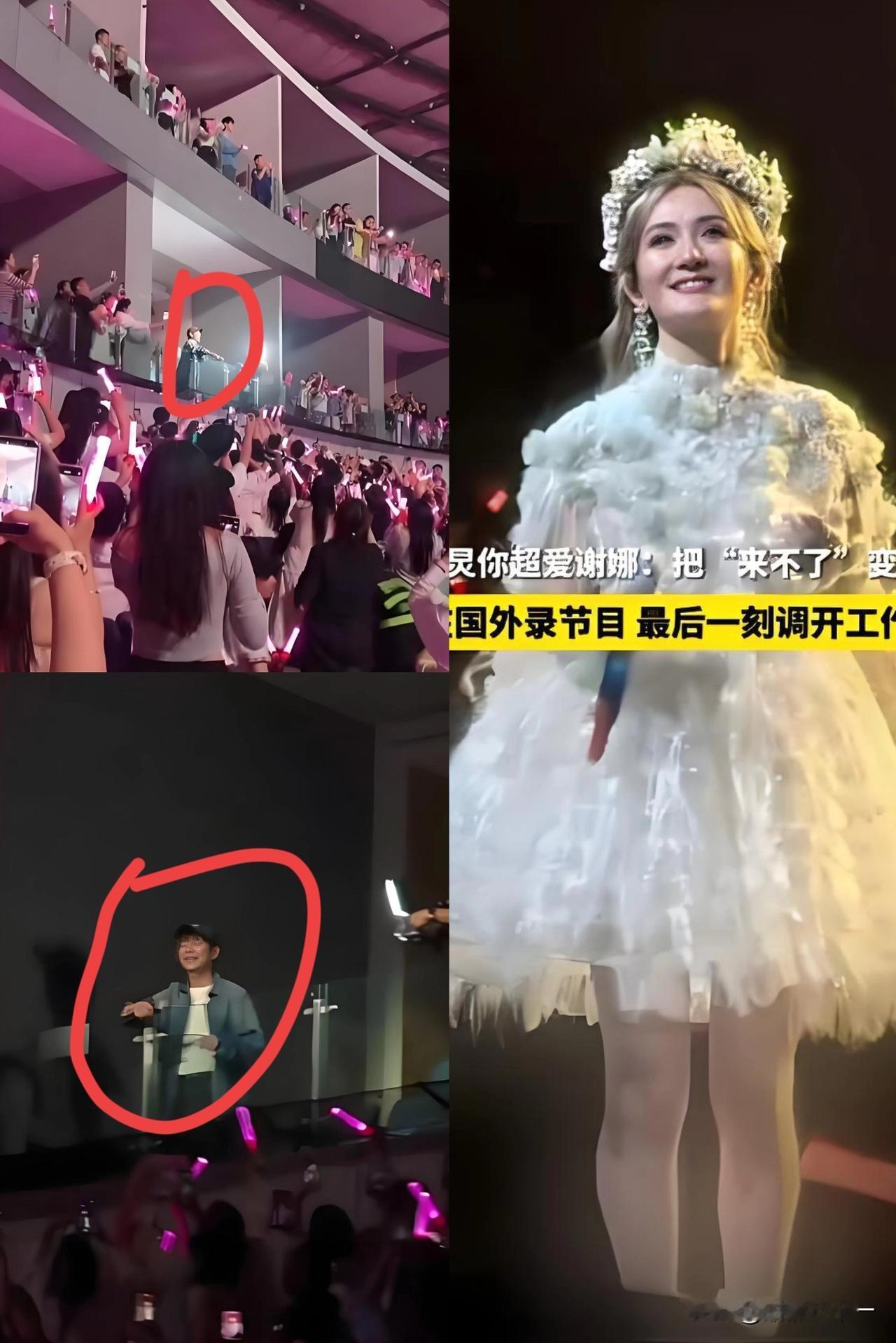 谢楠开演唱会，

比起见识她的实力，

和看清她的人脉，那个为了她从异国他乡飞回