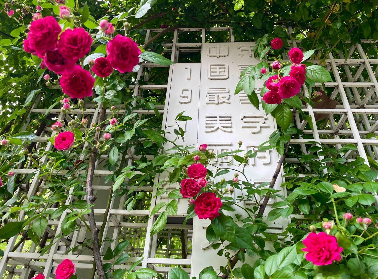 热在三伏天，武汉及全国各地的“加长版”三伏天，将从明天正式开始，比去年整整一多了