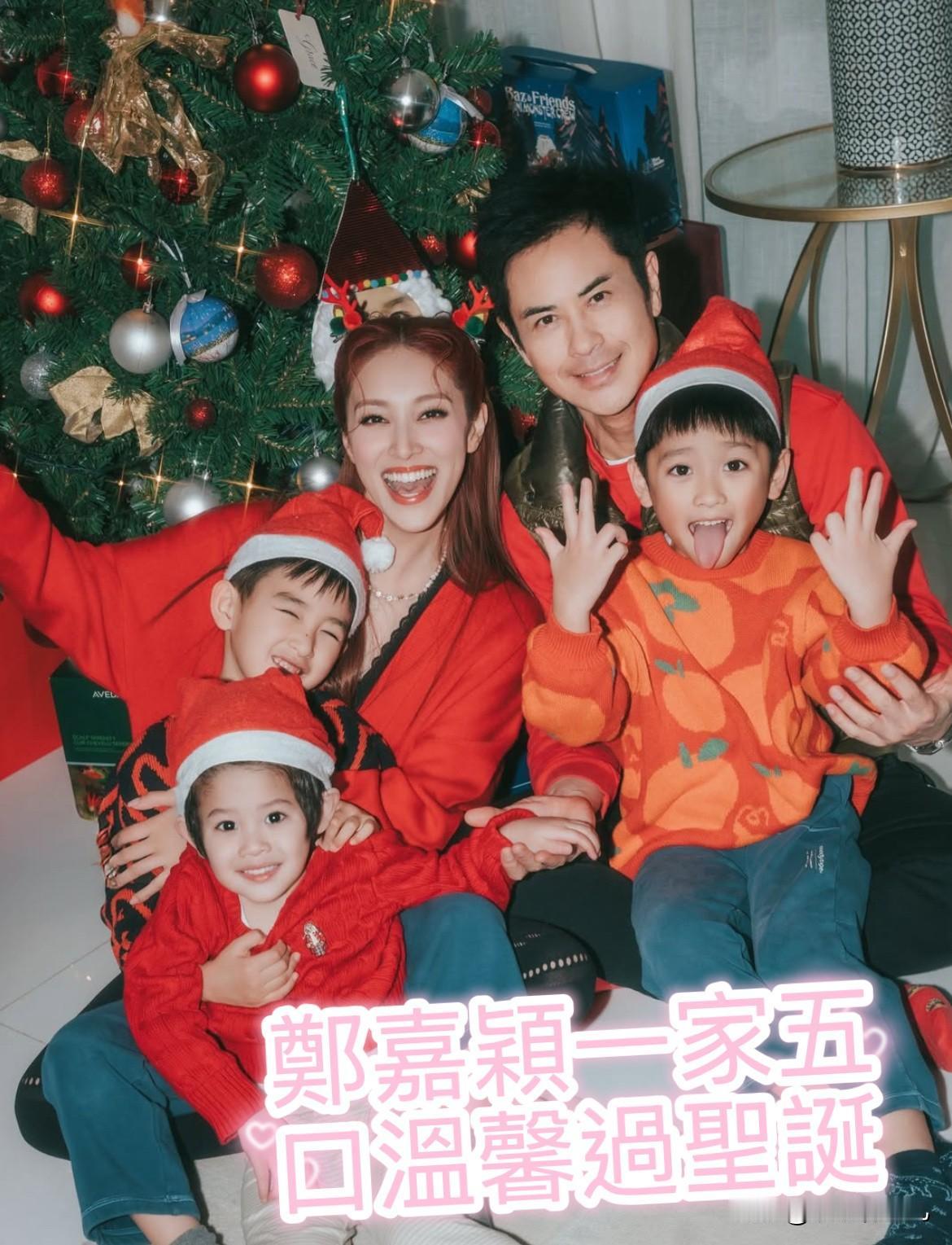 郑嘉颖与香港小姐陈凯琳结婚，两人婚后育有三子，四年抱三。陈凯琳怀第三胎时宣布家庭