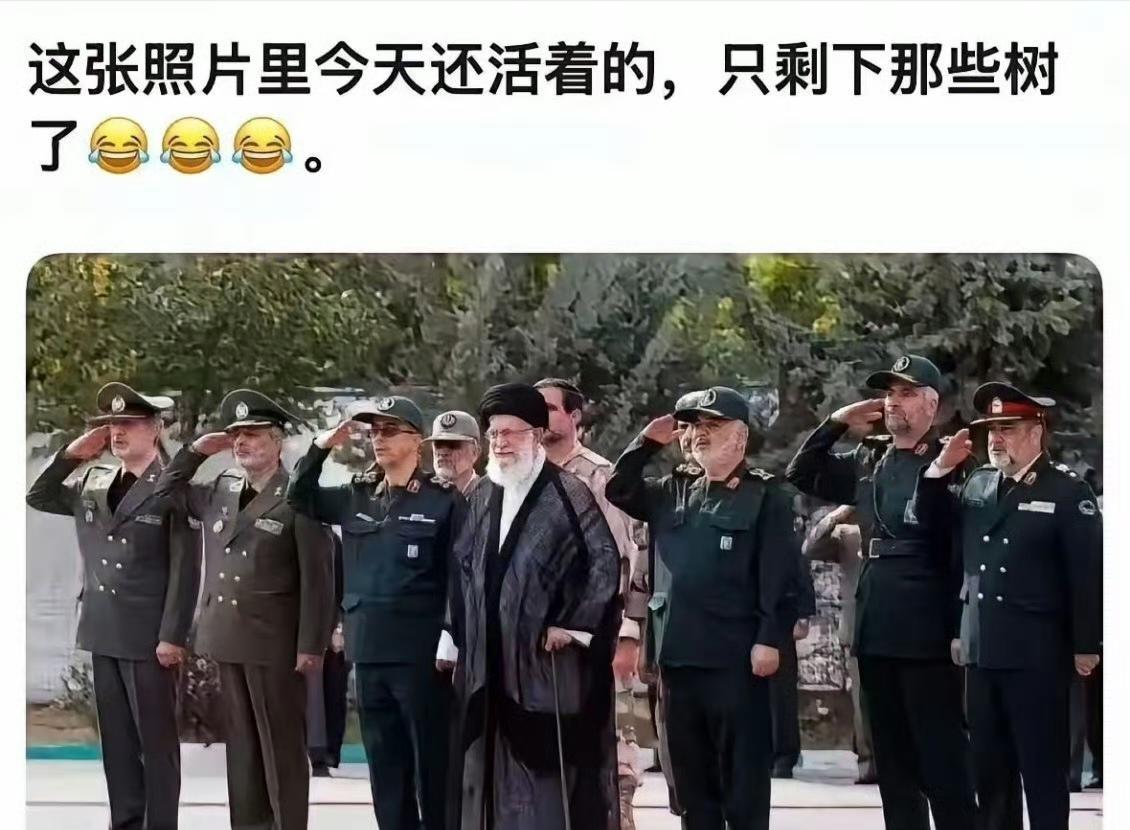 图一中这10几位伊朗大人物全部没了。

虽然伊朗这次高层损失惨重，但是在看不到的