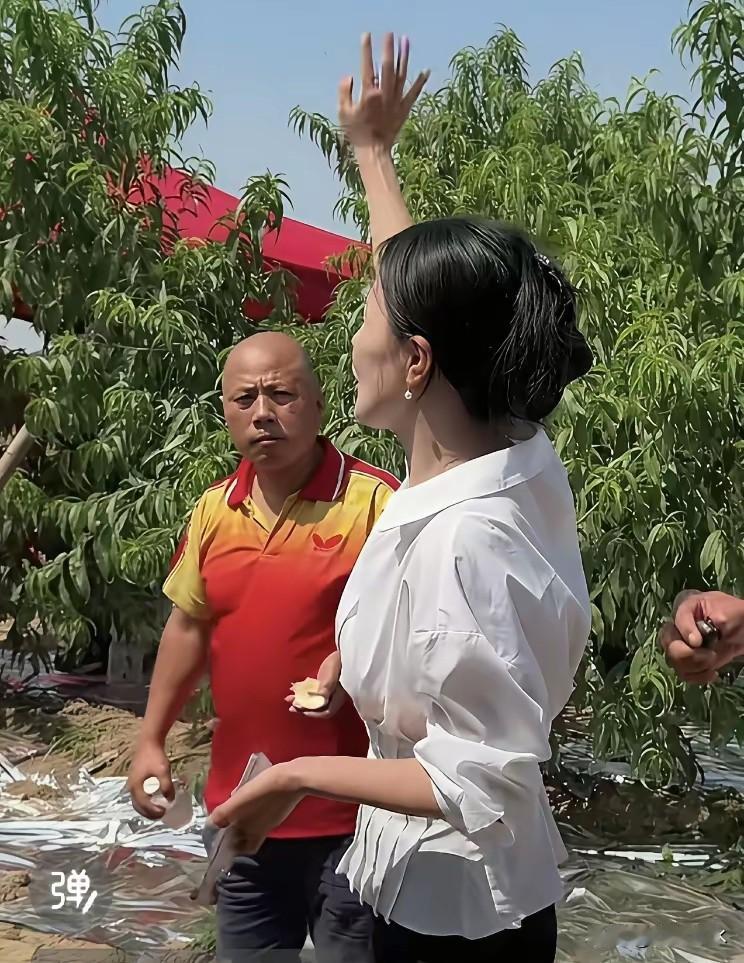 封号之后还不肯罢手吗？李雨禅表哥扬言要继续找事，相宜已经今非昔比了

风波再起，