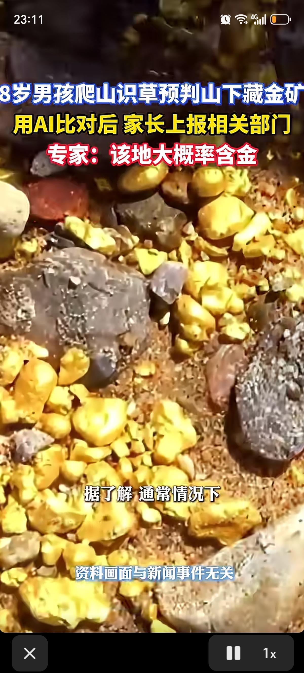 大连庄河8岁男孩和爸爸上山时通过“探金草”和云母石判断山体有黄金，用AI助手做了