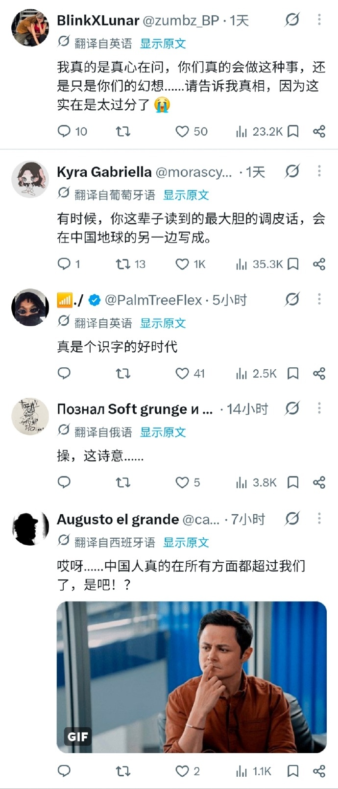 啊就这个吗，就这样吗？这都能追捧吗，这有文学性吗？这就诗意了？要不给老外看我们中