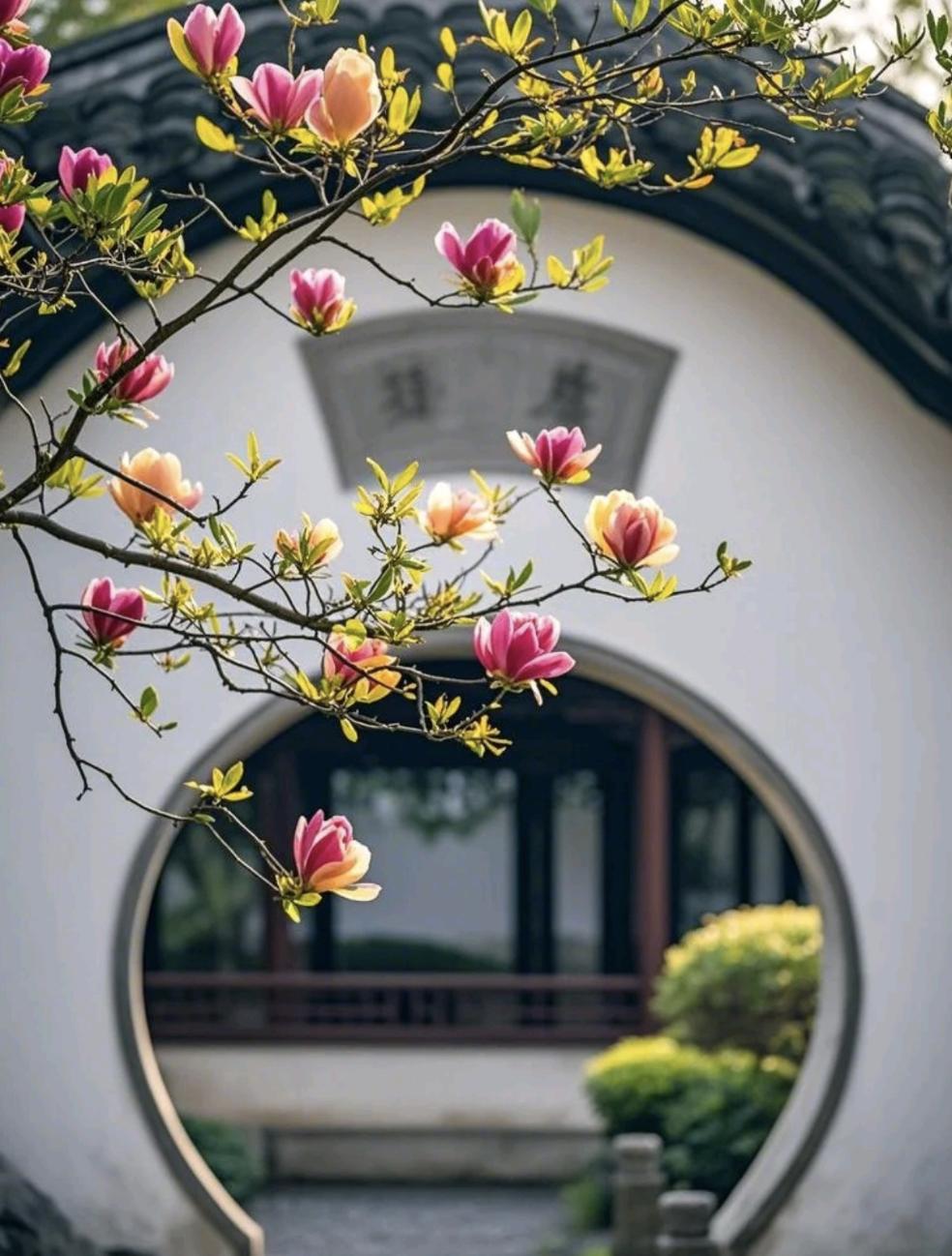道家有个说法，叫“静水流深，不语最沉”
人群中那个最温和、最不争的人——
往往不