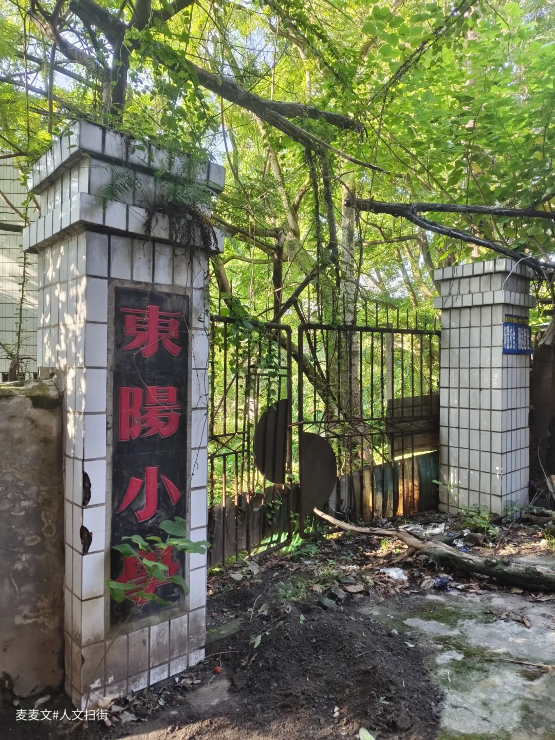 【北碚】废弃的东阳小学!风琴还在弹奏回忆
