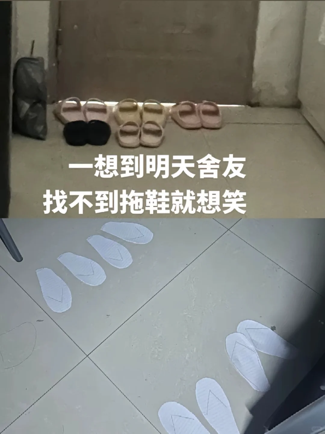 不知道她的室友对此做出什么感想