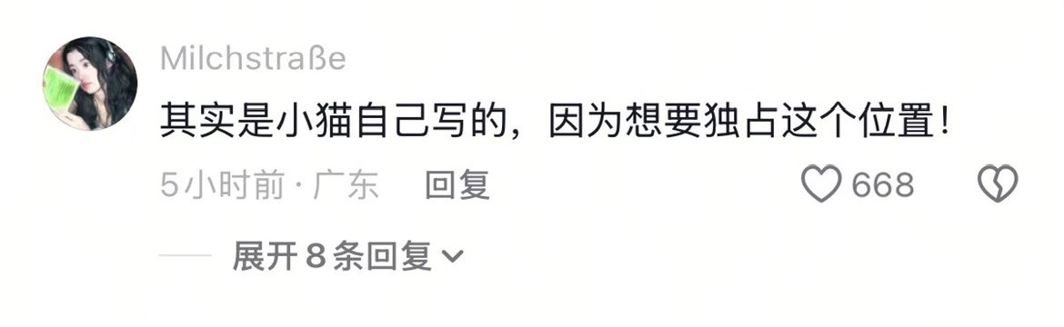 猫猫我呀不ins字 