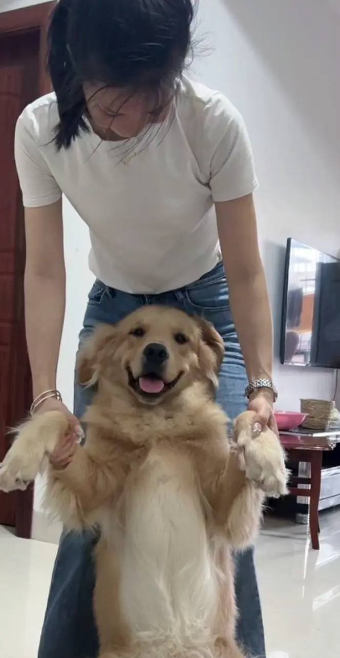 所有人看到我在发脾气 我爆躁 却没人看到我在受伤