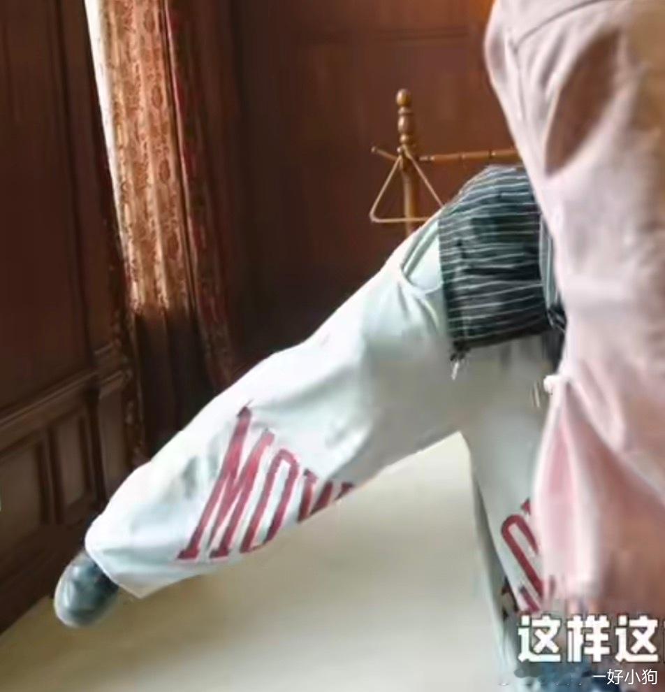 从头萌到尾的一只 