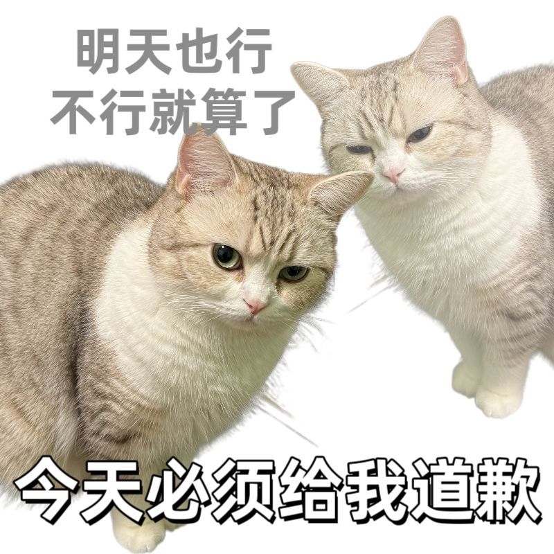 老天爷 这到底在踢什么啊[苦涩]为什么这个点我不睡觉啊啊啊啊啊啊啊 ​​​