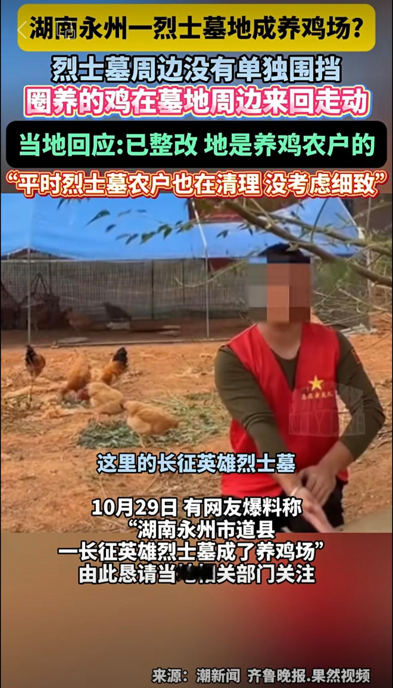 永州一烈士 墓地成养鸡场?烈士墓周边没有单独围挡 圈养的鸡在墓地周边来回走动，当