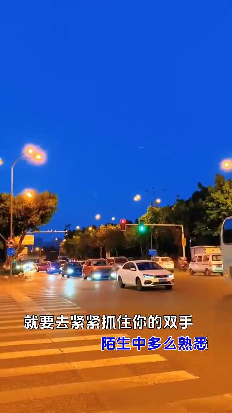 演唱：大欢。
夜晚的星星在空中闪烁，思念的人想你了。没有你的日子过的孤单，我的天