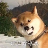 桂蛹热说汽车