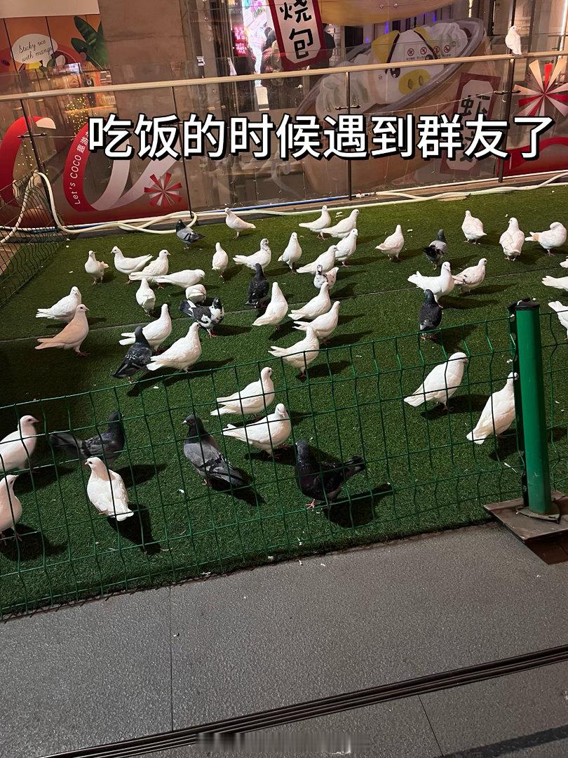 呃呃呃现在发一下之前不知道几月来着的bao记录 