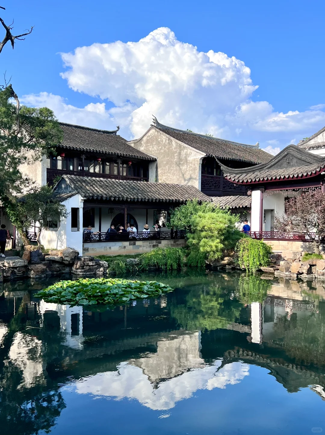 苏州网师园🍃我真拍到了会动的水墨画！！