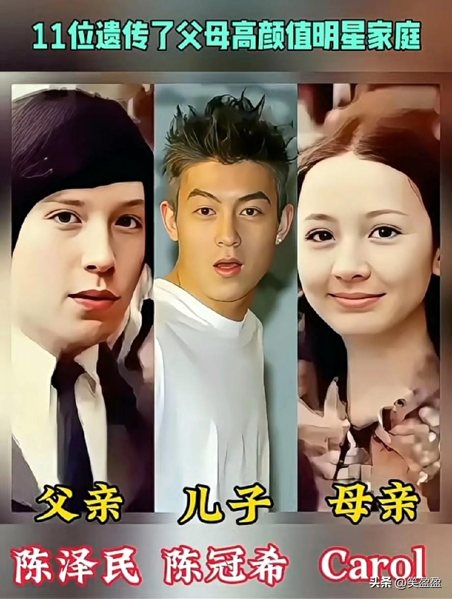 11组明星家庭夫妻儿女对比，陈冠希和谢霆锋的爸妈颜值好高，关芝琳和刘亦菲遗传了妈