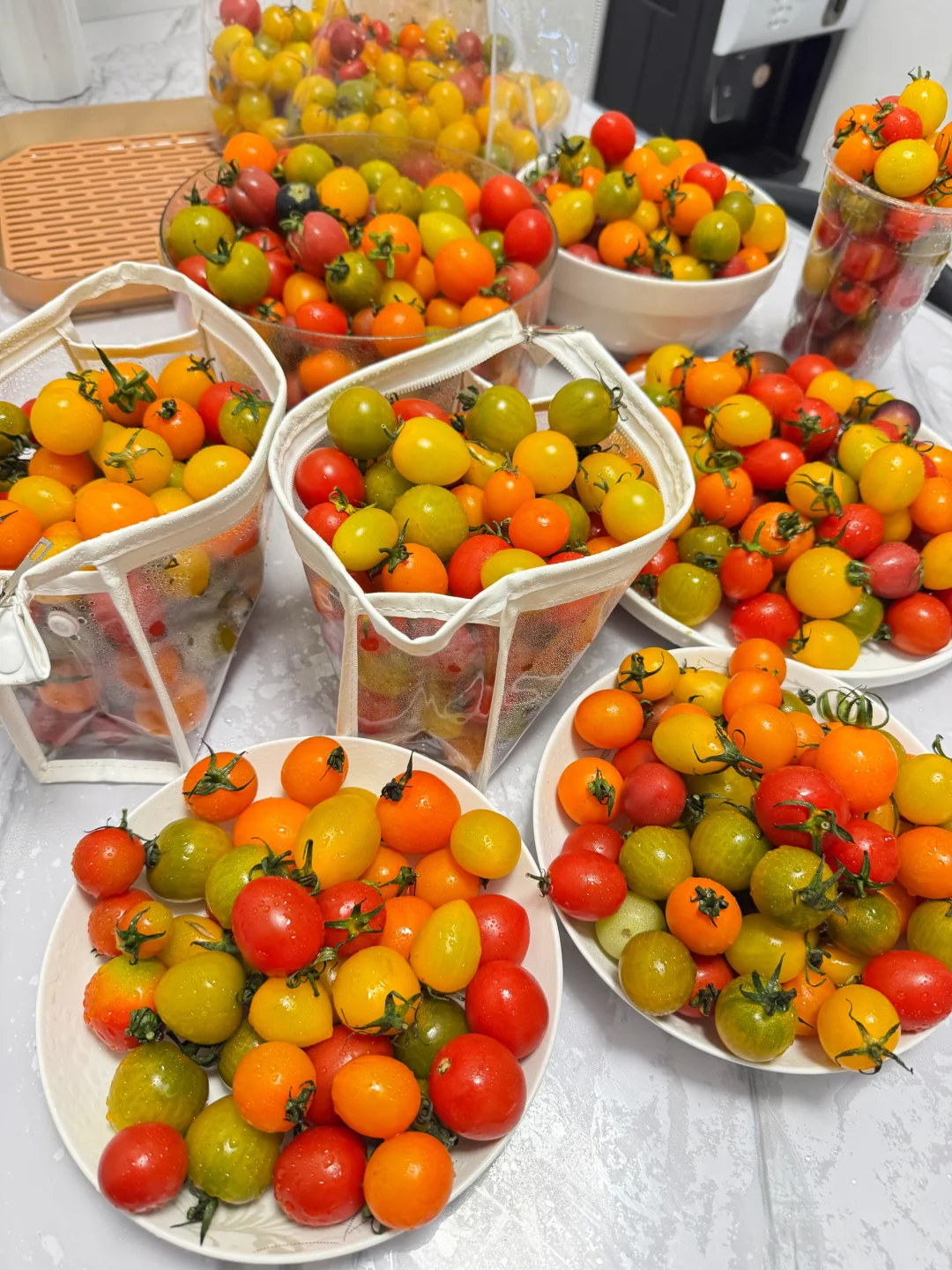 个位数给你一箱多彩小番茄，就为了宠粉！