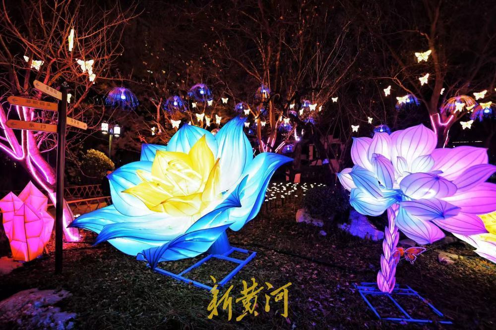 1月27日，五龙潭公园的灯光亮化提前进入测试阶段，粉蓝渐变的小狐狸在夜色中灵动闪