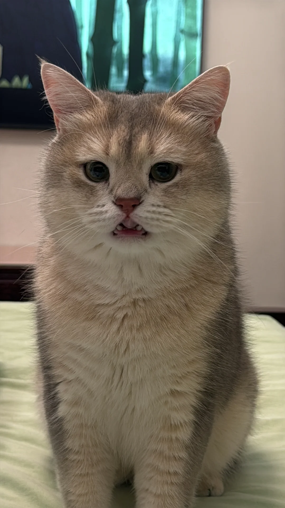 高清证件照出品