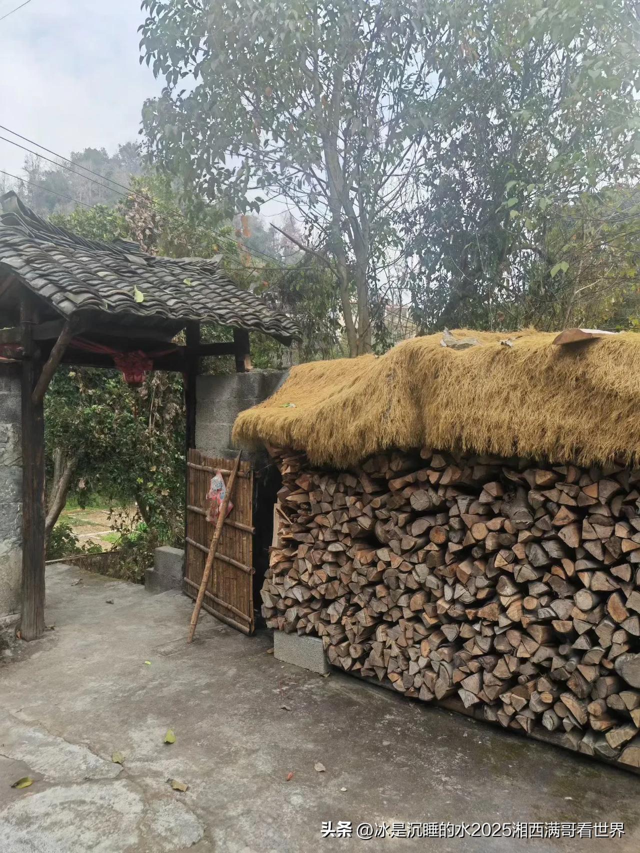 忙里偷闲，跟朋友去市郊的农家乐玩。空气新鲜，草木葱郁，生机盎然，院子里一进门就看