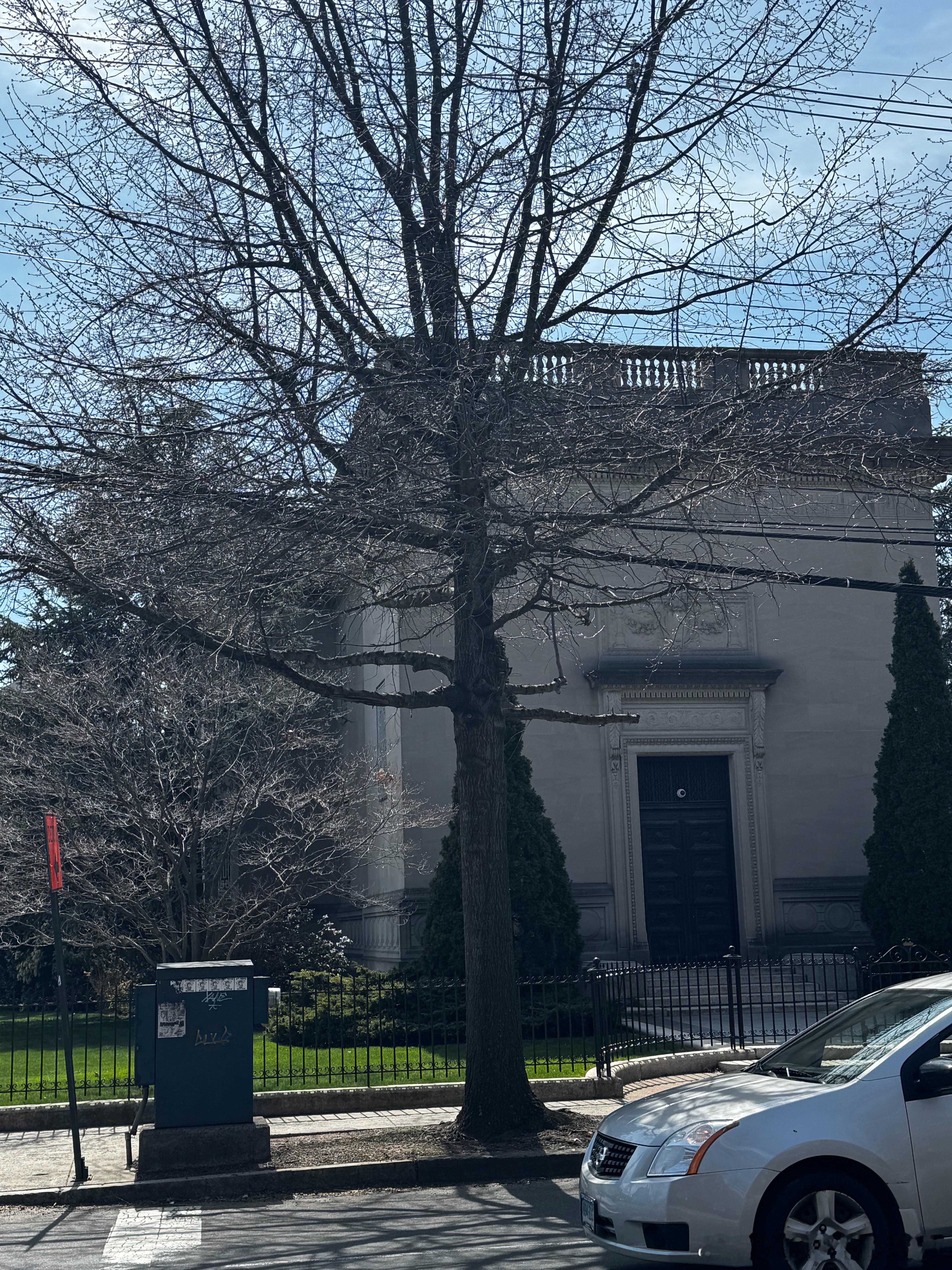 耶鲁三角地对面的贝采利乌斯——噢，耶鲁的贝采利乌斯，耶鲁大学里确有贝采利乌斯。这