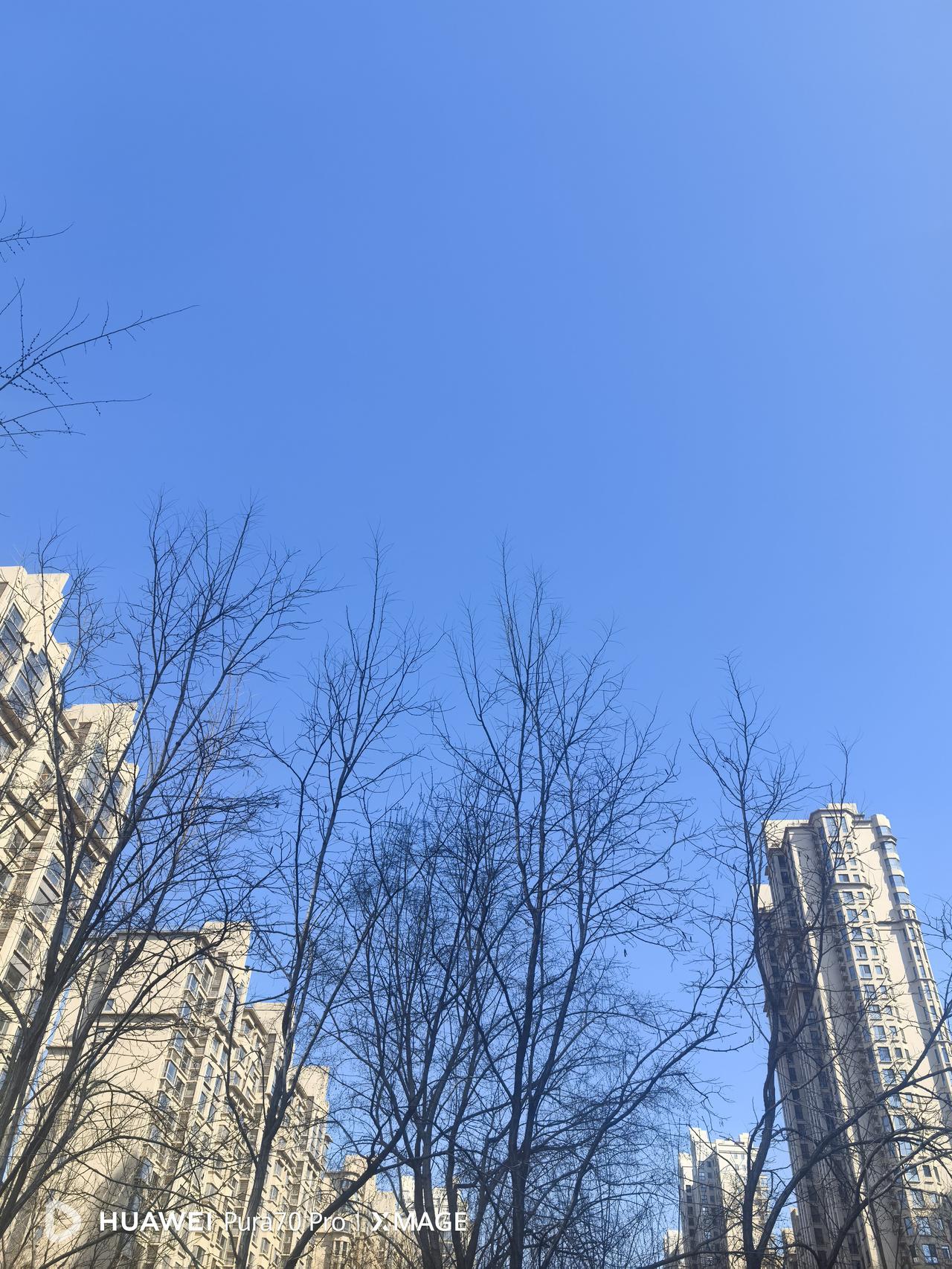 今天是学电吹管的第二天，来到直播间学习电吹管的都是中老年人，大都是小白，主讲老师