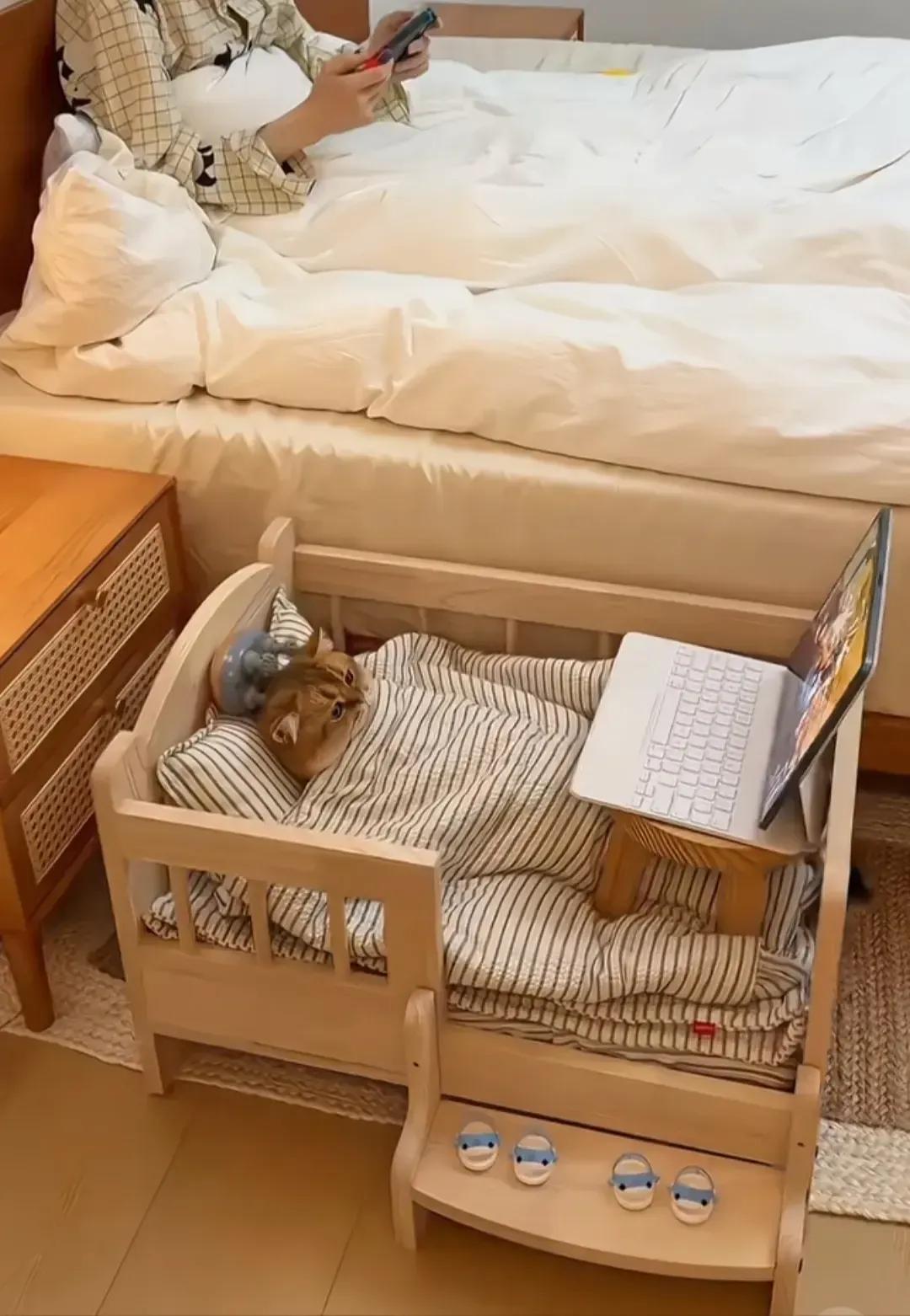 这算喵生巅峰了吧！瞧给它舒服的，要不要给它找份工作干干？