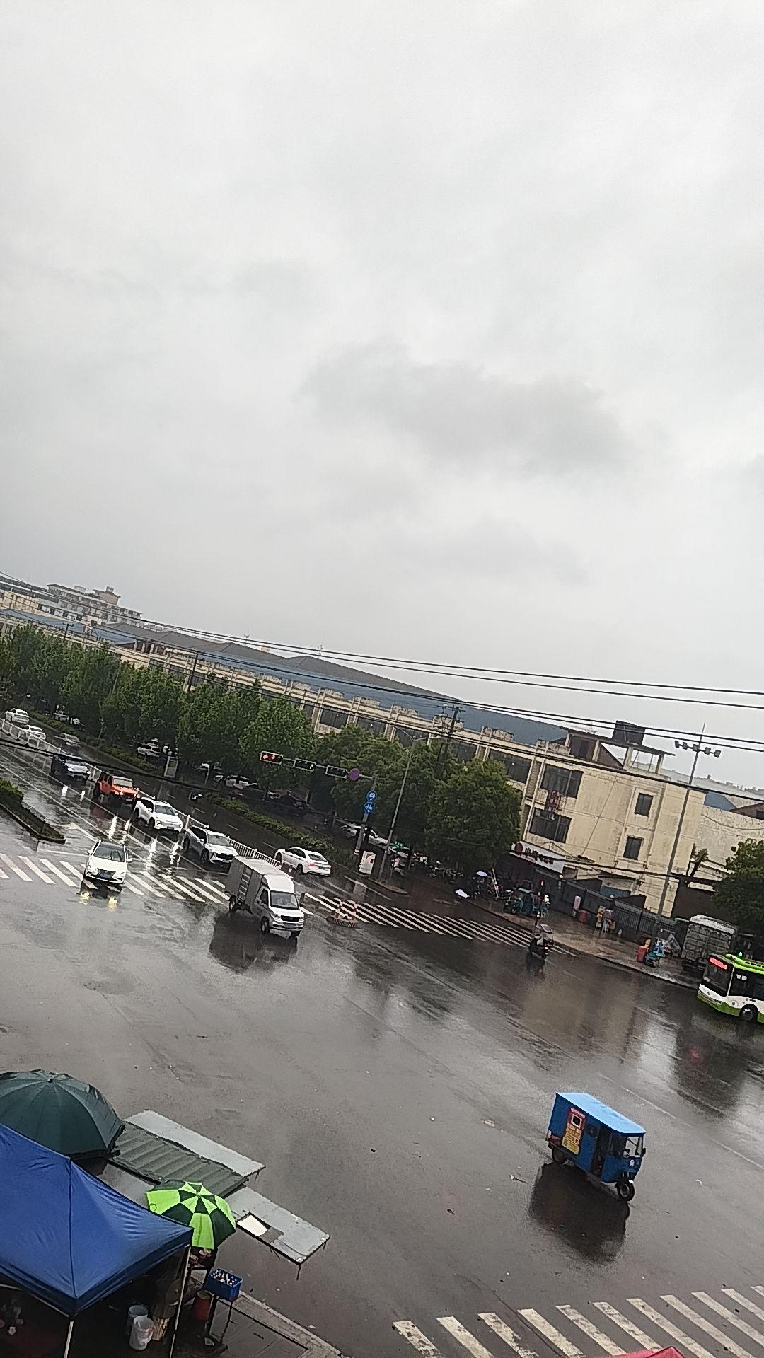 孤身一人又何妨，颠沛流离又如何，一个人风风雨雨也照样走过来了，在我最难...