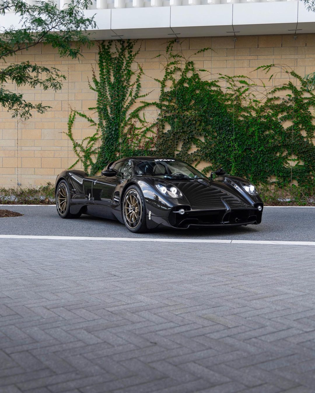 帕加尼Huayra Utopia ​​​