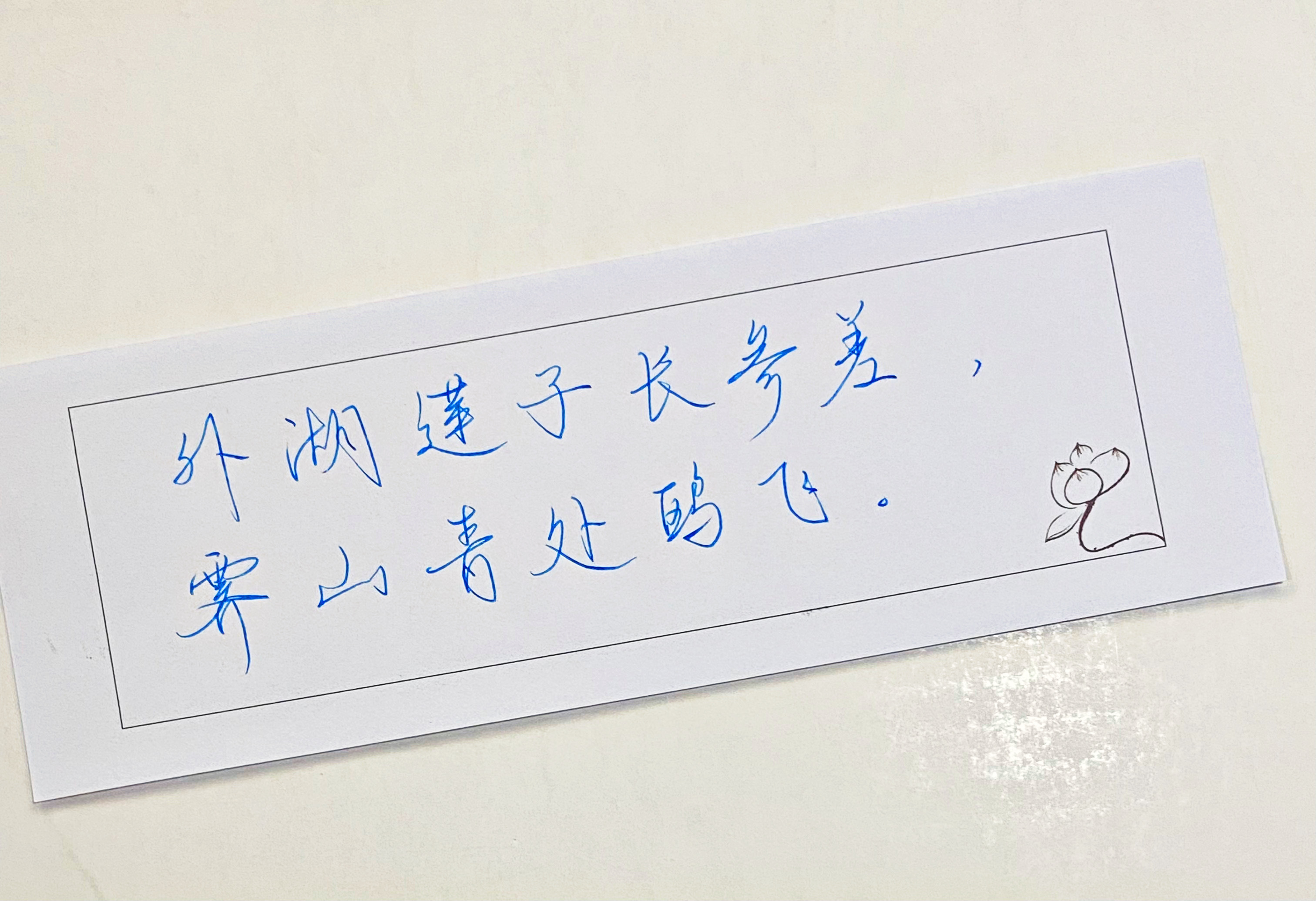 一起写写字  莲子 