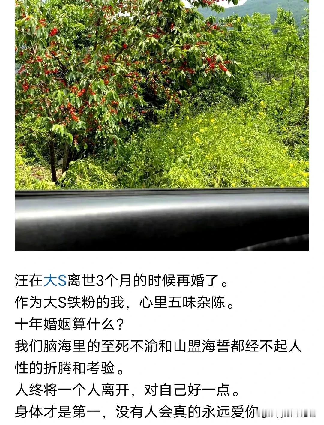 大S死了，汪小菲不能结婚吗？

既然十年婚姻，为什么大S一离婚就找了韩国老头儿前