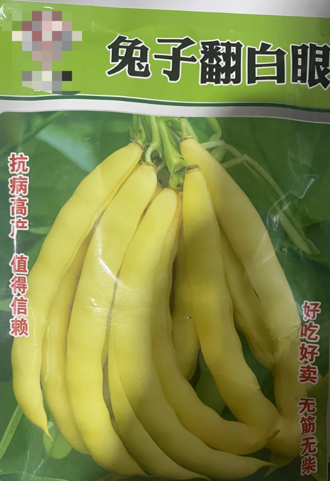 东北有一种豆角叫“兔子翻白眼”引热议，厂家回应：外形像兔子眼睛