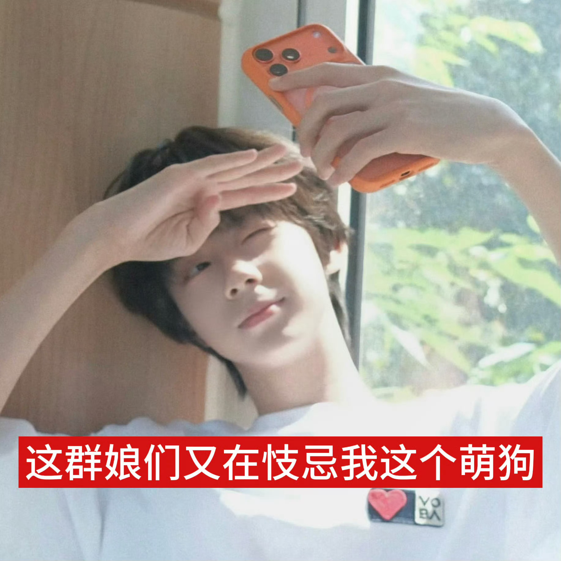 分享图片 