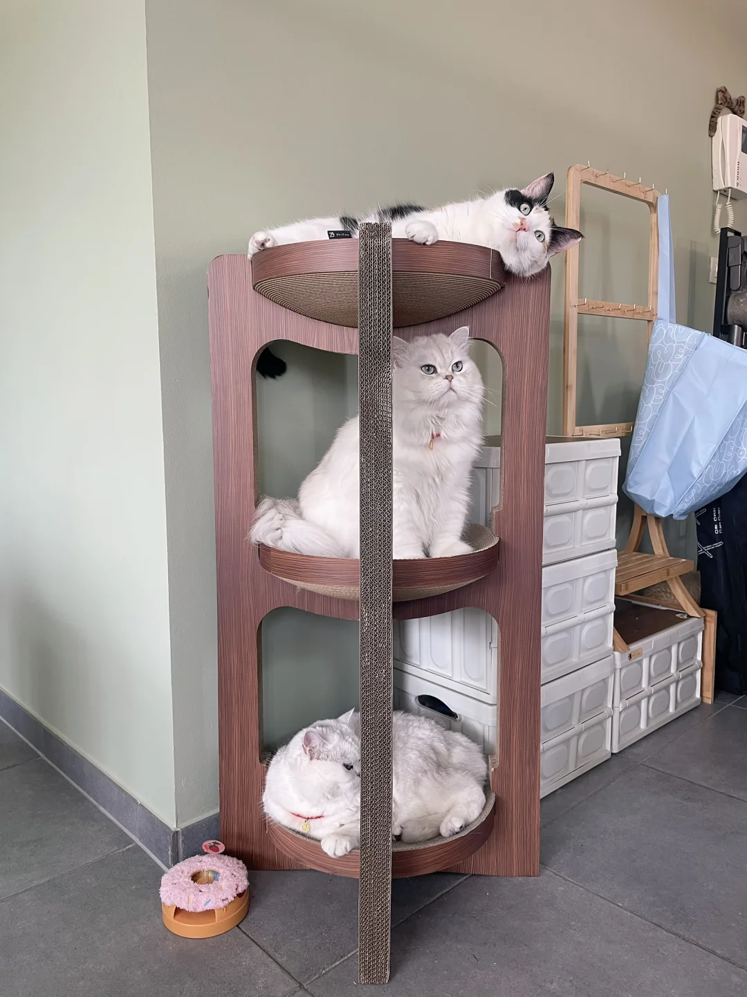 三层猫塔猫抓板猫窝