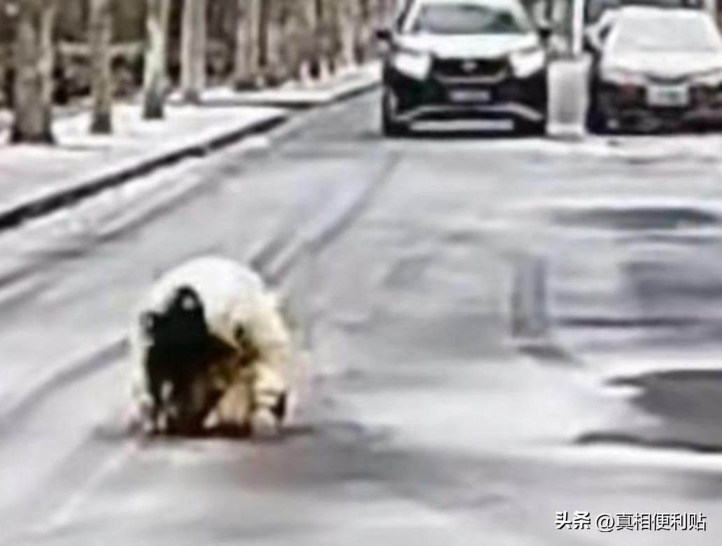 “远嫁的代价！”2023年河北，一女子得知父亲因病离世，但娘家远在贵州，丈夫觉得