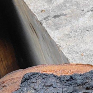 阳光信用 每日一善  眼里有光，心中有爱，行中有善，不负遇见，不负热爱，不负此生