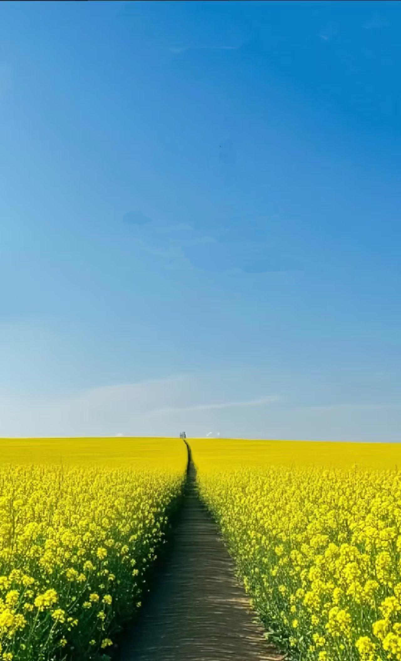 一路芬芳馥郁的花香……