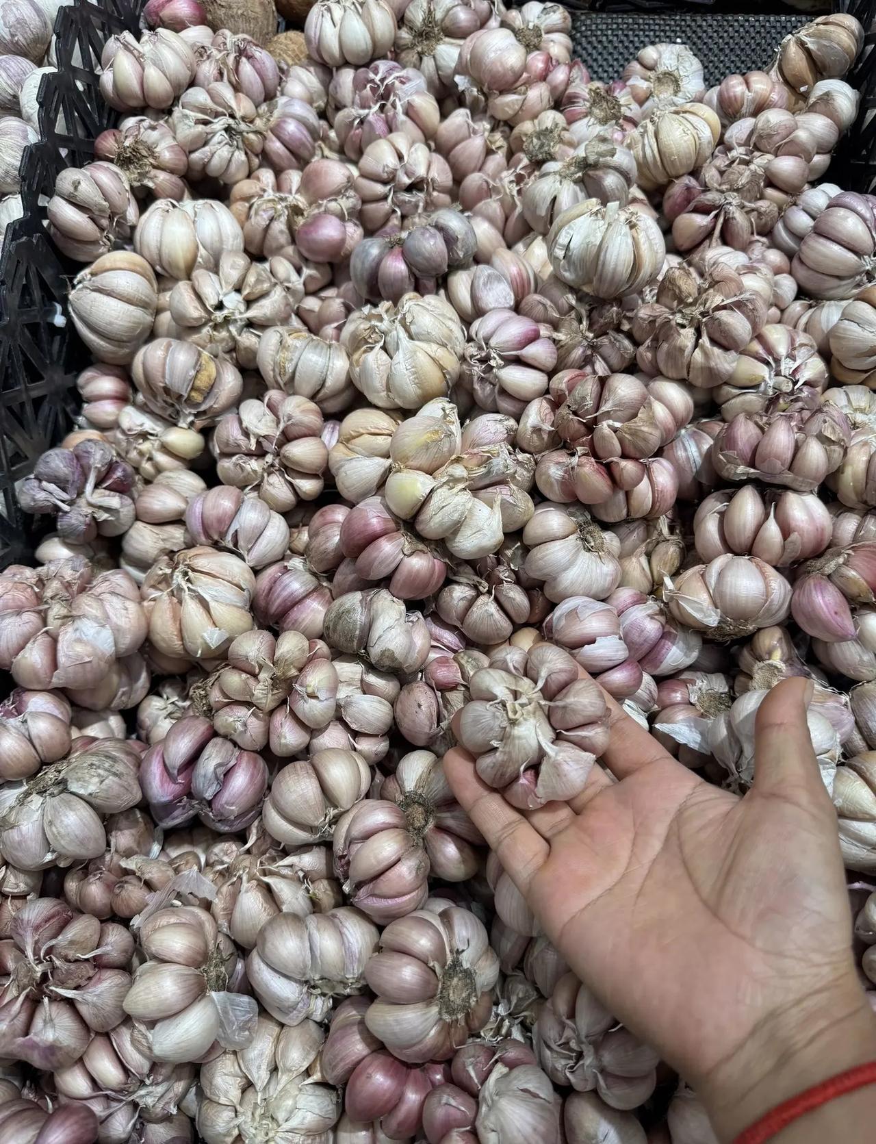 斯诺克锦标赛1/4决赛，吴宜泽13-8瓦菲，晋级四强！当8强全员盯着赵心童时，却