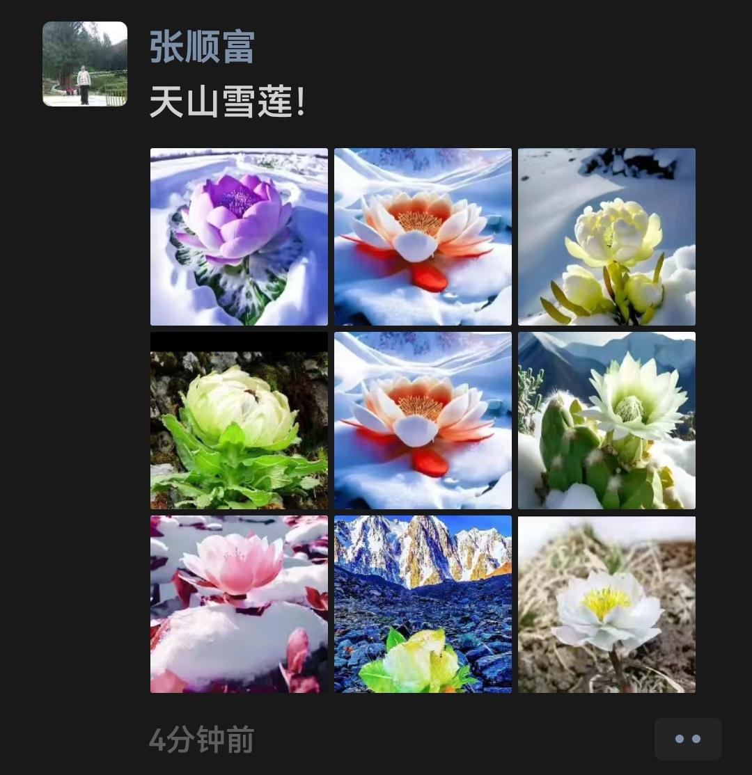 我从张主席的朋友圈发现了天山雪莲，我问他去天山了？他没有回答。先转发了，太漂亮了