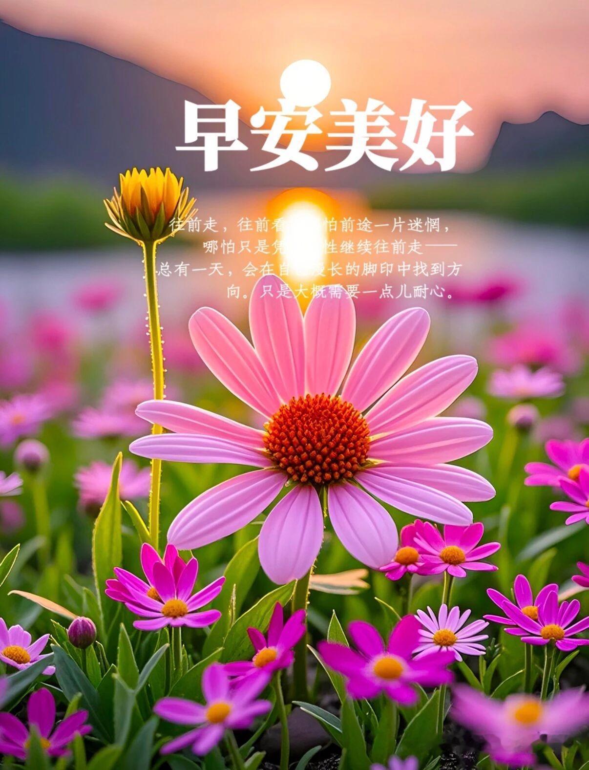 🍃 春日寄语🌸
相遇是花开，芬芳又灿烂；
问候是细雨，滋润心尖。
陪伴是温情