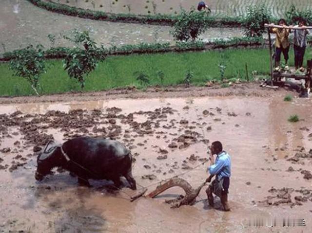 腊梅把肝癌晚期的前夫接回了老家，他们已离婚多年，看在两个孩子的份上，她只希望他能