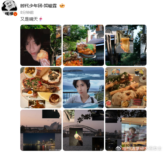 贺峻霖12宫格日常plog贺峻霖悉尼库存贺峻霖分享悉尼库存，12 宫格日常 pl