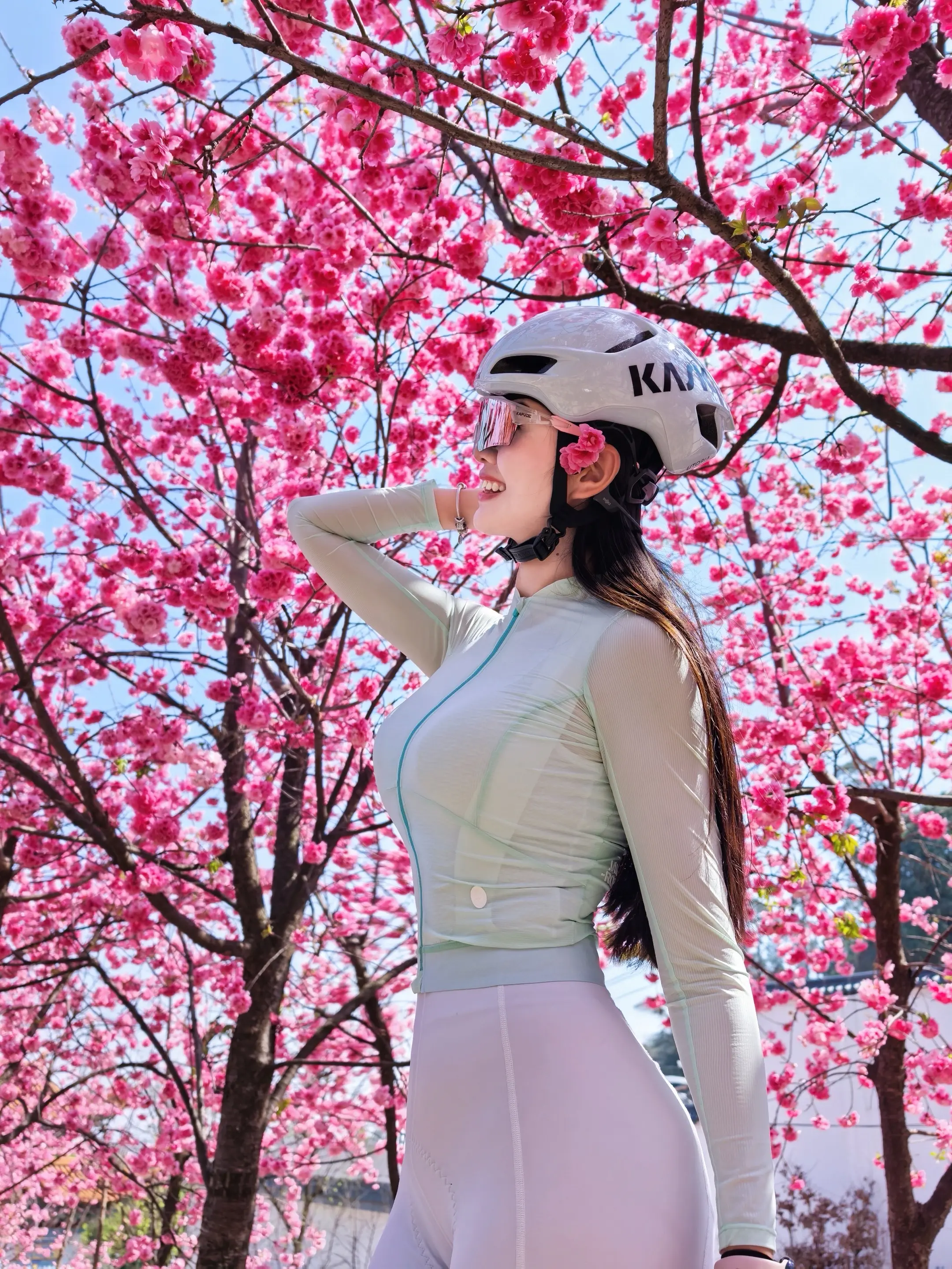 猫猫箐爬了，樱花看啦～