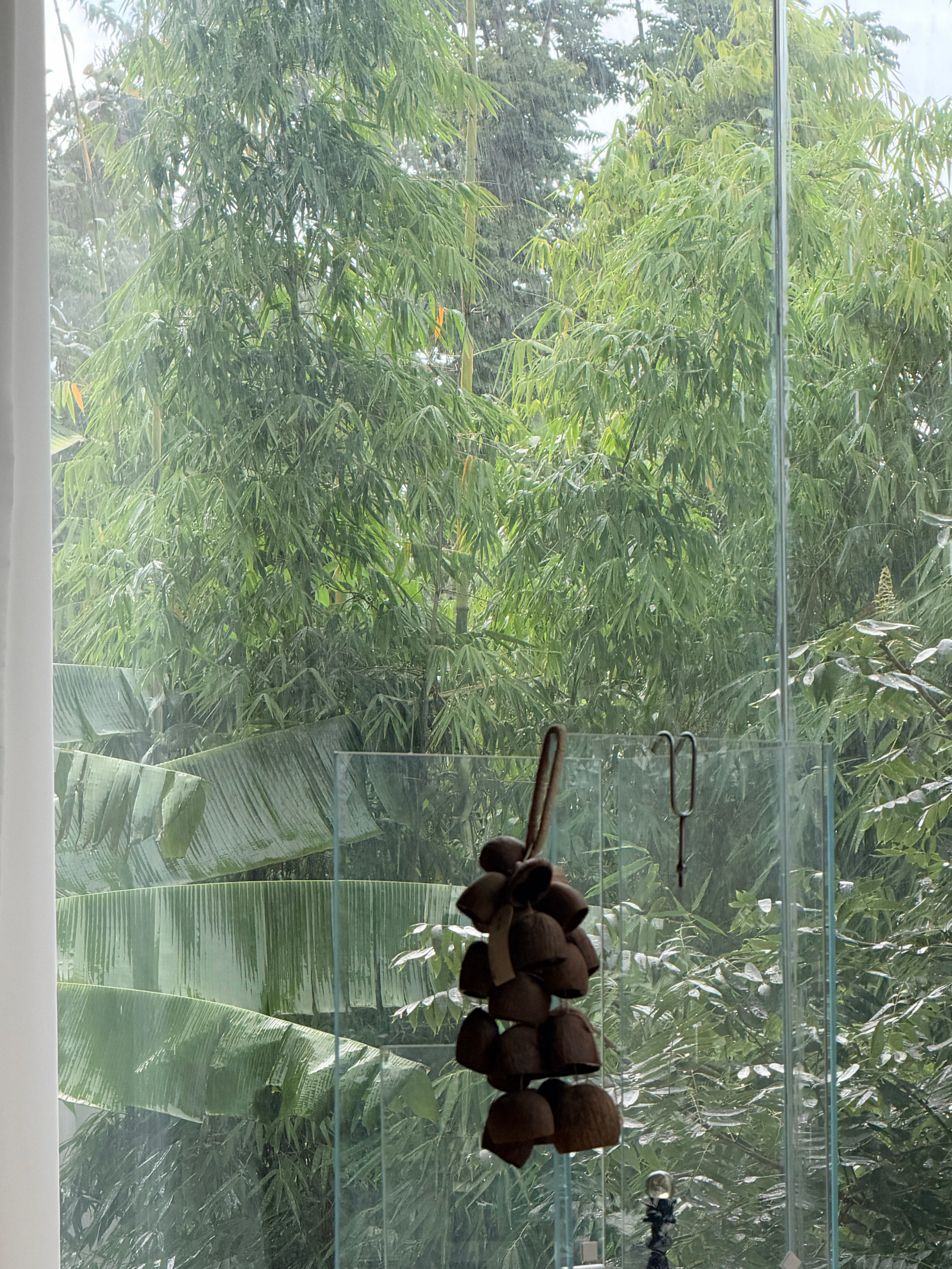 雨天的大理☔️ ​​​