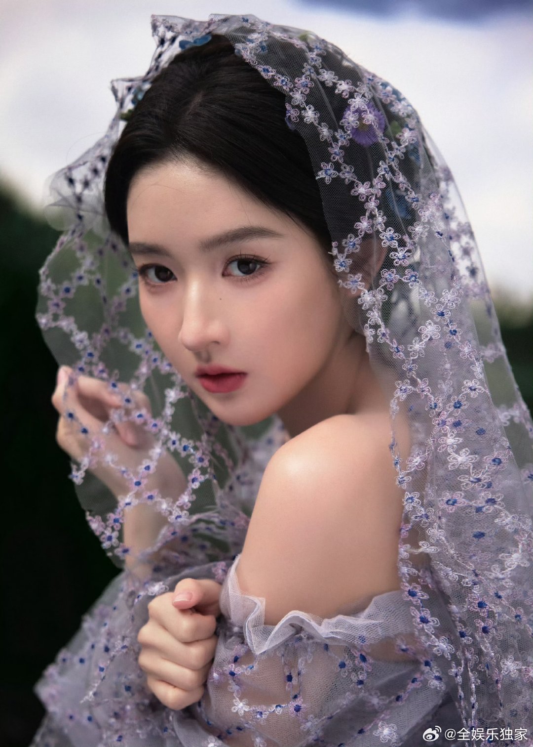 女喵星们的VOGUE女明星造型 黑猫刘亦菲自带高级感，狸花杨幂媚态天成，橘猫钟楚