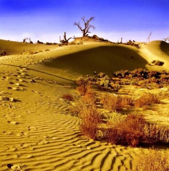 为什么现在要大规模的治理塔克拉玛干大沙漠，一个 33 万平方公里区域。

因为以