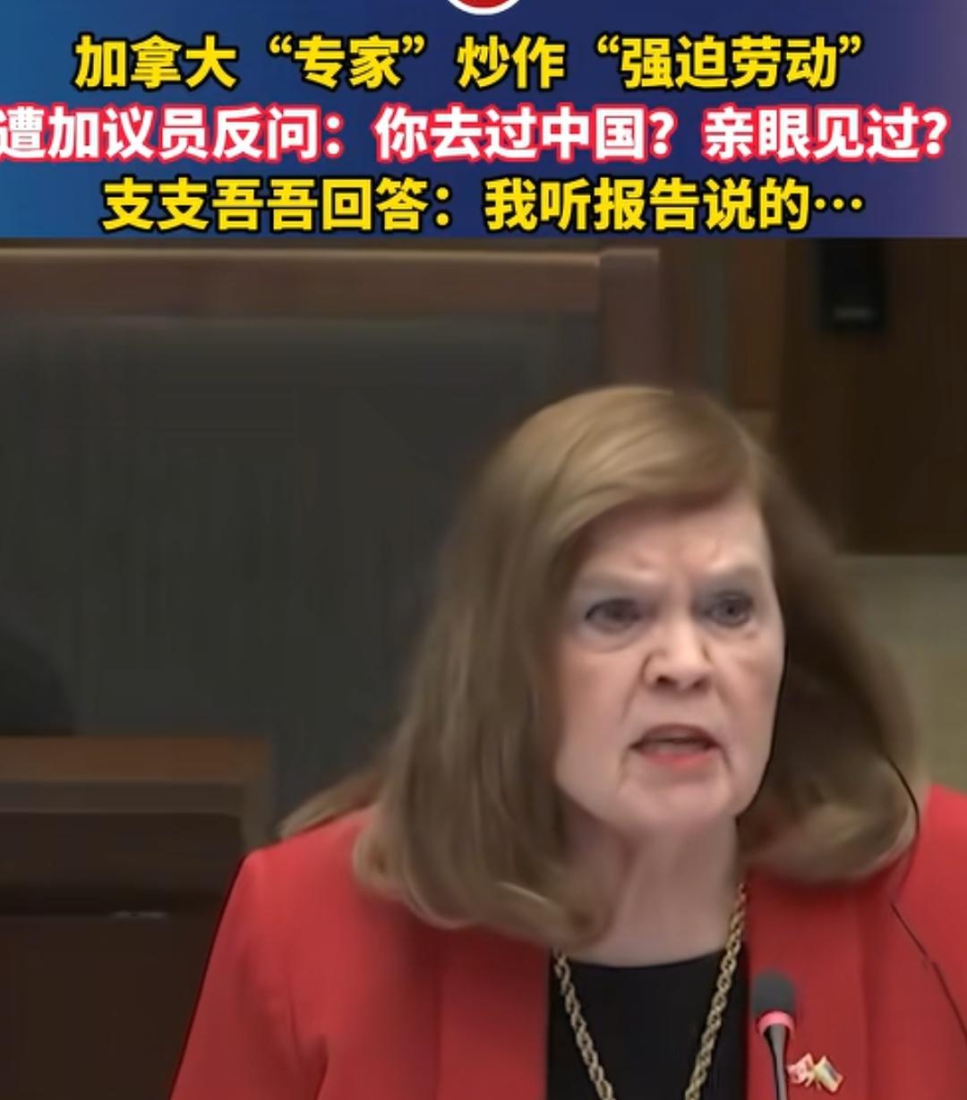 看了这个新闻真的特别气愤，西方国家动不动就炒作我们强迫劳动，给我们莫须有的罪名。