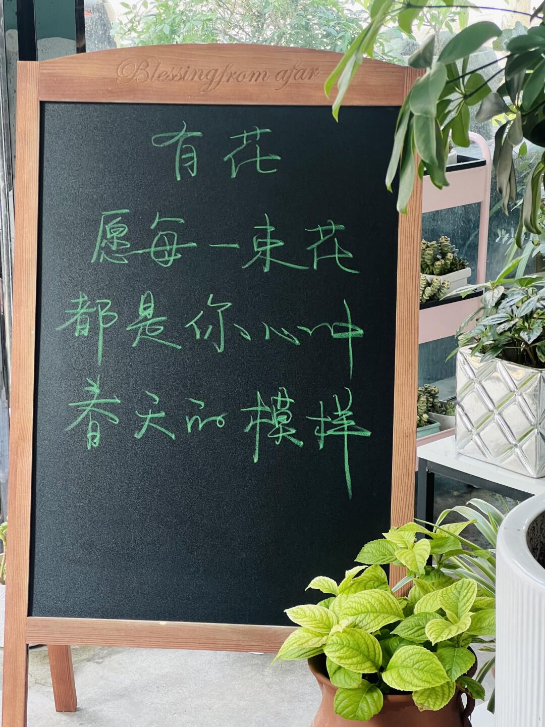 手写小黑板文案——🌿02